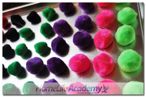 pom_poms03